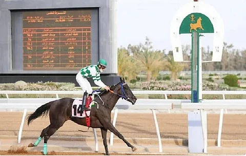 سباقات الخيل