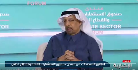 وزير الاستثمار