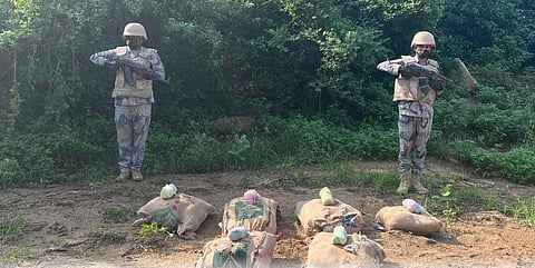 حرس الحدود بجازان يحبط تهريب (115) كيلوجرامًا من نبات القات المخدر