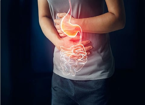 حركة الأمعاء