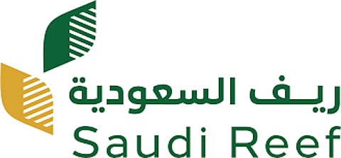 «ريف السعودية».. إنجازات متميزة وأرقام قياسية في طريق التنمية الريفية