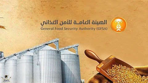 «الأمن الغذائي» ترسي الدفعة الأولى من القمح المستورد هذا العام