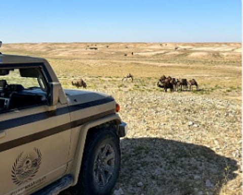 محمية الملك عبدالعزيز الملكية بالرياض