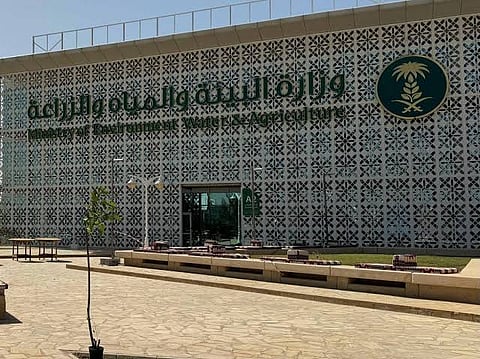 «البيئة»: لا صحة للمعلومات المتداولة بشأن فترة التحريم للماشية وتسببها في أمراضٍ بشرية