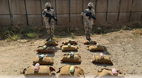 حرس الحدود بجازان  يحبط تهريب 120 كيلوجرامًا من القات