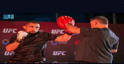 الفنون القتالية