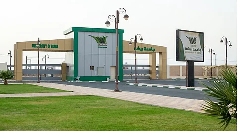 جامعة بيشة