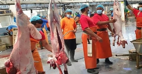 مسالخ المدينة