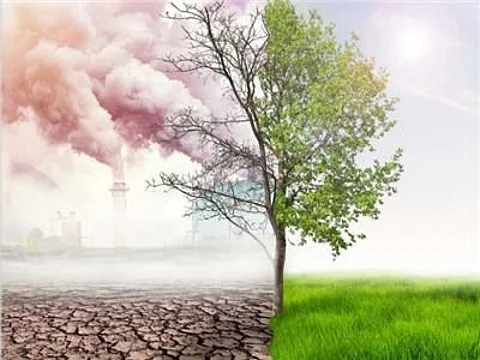 استطلاع مقياس التحول البيئي يُظهر وعي السعوديين بظاهرة الاحترار العالمي