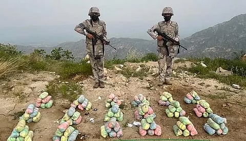 القات المخدر