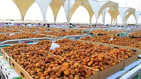 نظام رقمي لضبط كرنفال بريدة للتمور وتنظيم حركة البيع