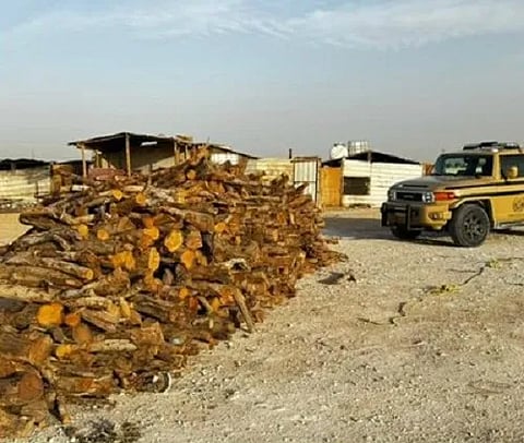 ضبط مخالف لنظام البيئة لتخزينه حطبًا محليًا في المنطقة الشرقية