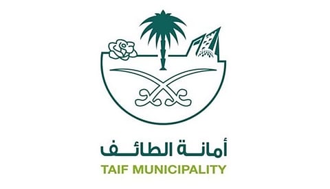 أمانة الطائف تعزز الاستدامة البيئية بزيادة مساحة المسطحات الخضراء إلى 8 ملايين م2