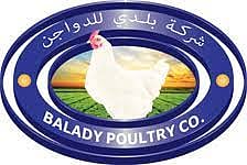 بنسبة 78.6%.. ارتفاع أرباح «بلدي» إلى 71.9 مليون ريال خلال النصف الأول