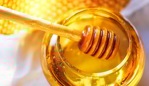 النحال وديع اليامي: حققنا 16 ميدالية عالمية في جودة العسل