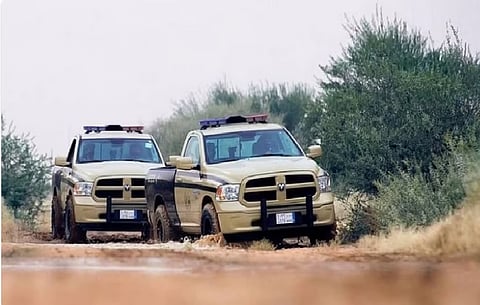 «الأمن البيئي» تضبط مخالفًا لنظام البيئية لنقله حطبًا محليًا في حائل