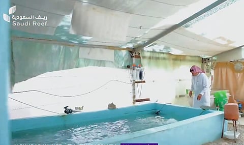 مزرعة سمكية