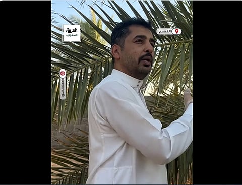 سليمان الرياعي.. شاب يروي تجربة 25 عاما في بيع وتخزين التمور