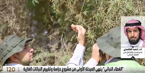الدكتور أحمد الغامدي