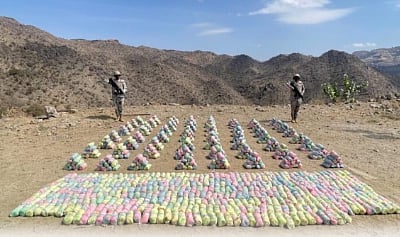 القات المخدر