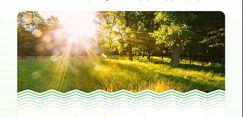 إطلاق حاضنة «سدرة» لدعم الشركات الناشئة في قطاع البيئة