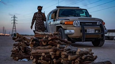 شرطة محافظة المهد بالمدينة المنورة تضبط مقيمًا بحوزته حطب محلي معروض للبيع