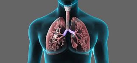 المجلس الصحي السعودي يوضّح طرق الحفاظ على سلامة الرئتين