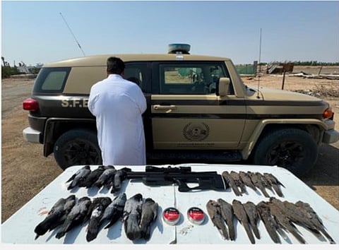 ضبط مخالفين لنظام البيئة لإشعال النار في الغطاء النباتي بحائل والصيد في أماكن محظورة بمكة