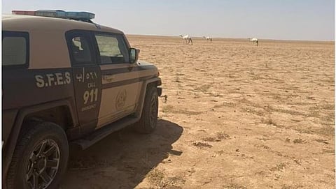 «الأمن البيئي» تضبط مخالفين لنظام البيئة بالمنطقة الشرقية ومحمية «عبدالعزيز الملكية»