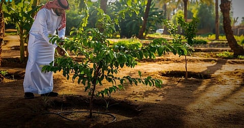 مبادرة السعودية الخضراء.. خطوات حثيثة نحو تحقيق الاستدامة البيئية وتعزيز حماية الموارد الطبيعية