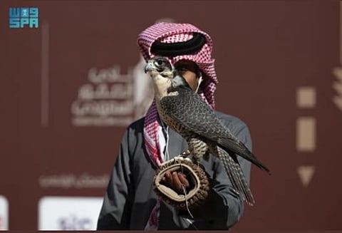 اختتام منافسات الكؤوس بأشواط الهواة المحليين في اليوم الـ 16 لمهرجان الملك عبدالعزيز للصقور