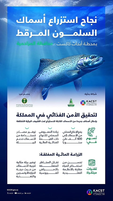 شراكة بحثية تنجح باستزراع أسماك السلمون المرقط لتحقيق الأمن الغذائي بالمملكة