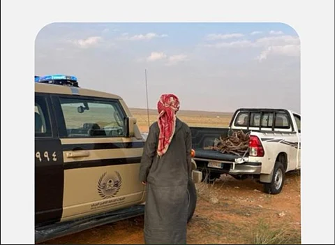 «الأمن البيئي»: ضبط مواطنين لارتكابهما مخالفتي التخييم ونقل الحطب في المحميات الملكية