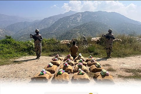 حرس الحدود بجازان يقبض على مخالف لتهريبه 320 كيلوجرامًا من القات