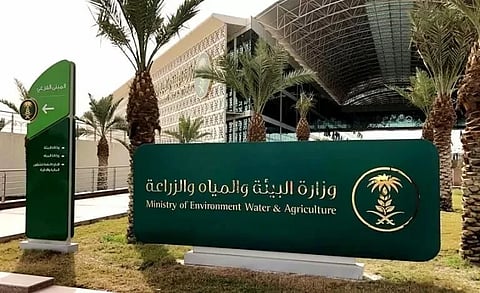 وزارة البيئة والمياه والزراعة