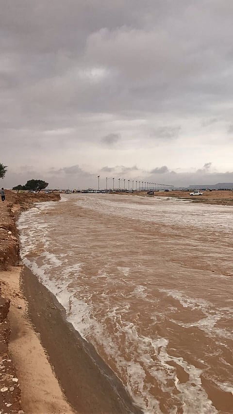 بالصور.. أمطار الخير ترسم لوحة بديعة بالقصيم