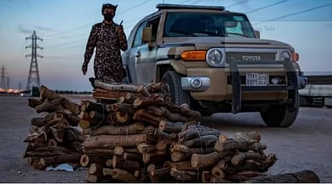 «الأمن البيئي» تضبط 9 مواطنين مخالفين لنقلهم حطبًا محليًا بمحافظة القويعية