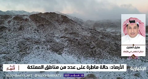 عقيل العقيل