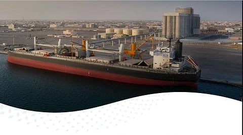 «هيئة الأمن الغذائي» تطرح المناقصة الأولى خلال 2025 لاستيراد 595 ألف طن قمح