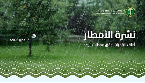 «البيئة»: أمطار في 9 مناطق.. ومحافظة ضرية بالقصيم تسجّل أعلى كمية بـ33.0 ملم