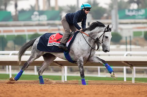 لأول مرة .. جواد الإيطالي «بوتي» يشارك في كأس السعودية