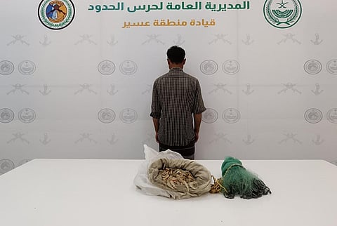 إحباط تهريب 176 كيلوجرامًا من نبات القات بمنطقة عسير