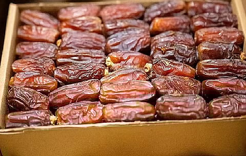 «سلمان للإغاثة» يسلّم 25 طن تمور هدية المملكة لجمهورية البوسنة والهرسك