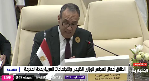 الدكتور بدر عبد العاطي وزير الخارجية المصري