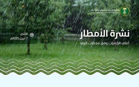 «البيئة» ترصد هطول أمطار في 7 مناطق وحائل تسجل أعلى كمية بـ 21.2 ملم في موقق