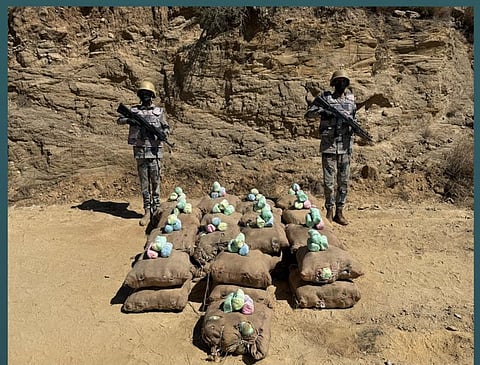 حرس الحدود بعسير يحبط تهريب 465 كيلوجرامًا من القات المخدر