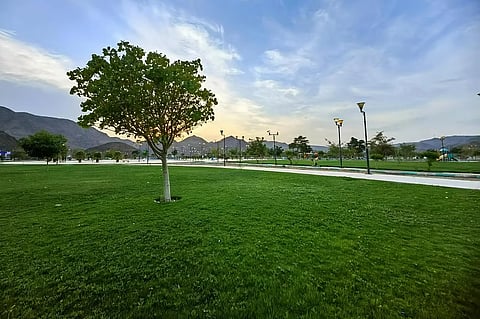 متنزه الأمير جلوي بنجران.. وجهة جاذبة للمتنزهين خلال الإجازات