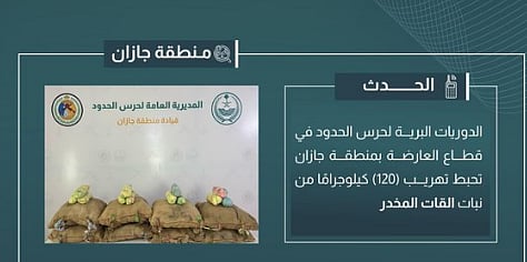 القات المخدر