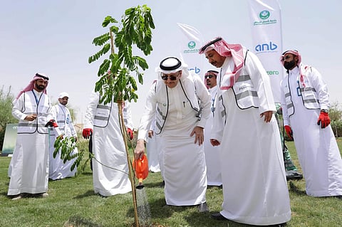 البنك العربي الوطني «anb» يغرس 10 آلاف شجرة ذكية دعماً لمبادرة السعودية الخضراء