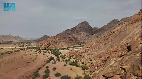 وادي مشار بحائل.. نموذج للطبيعة الغناء وجمال الغطاء النباتي الفريد